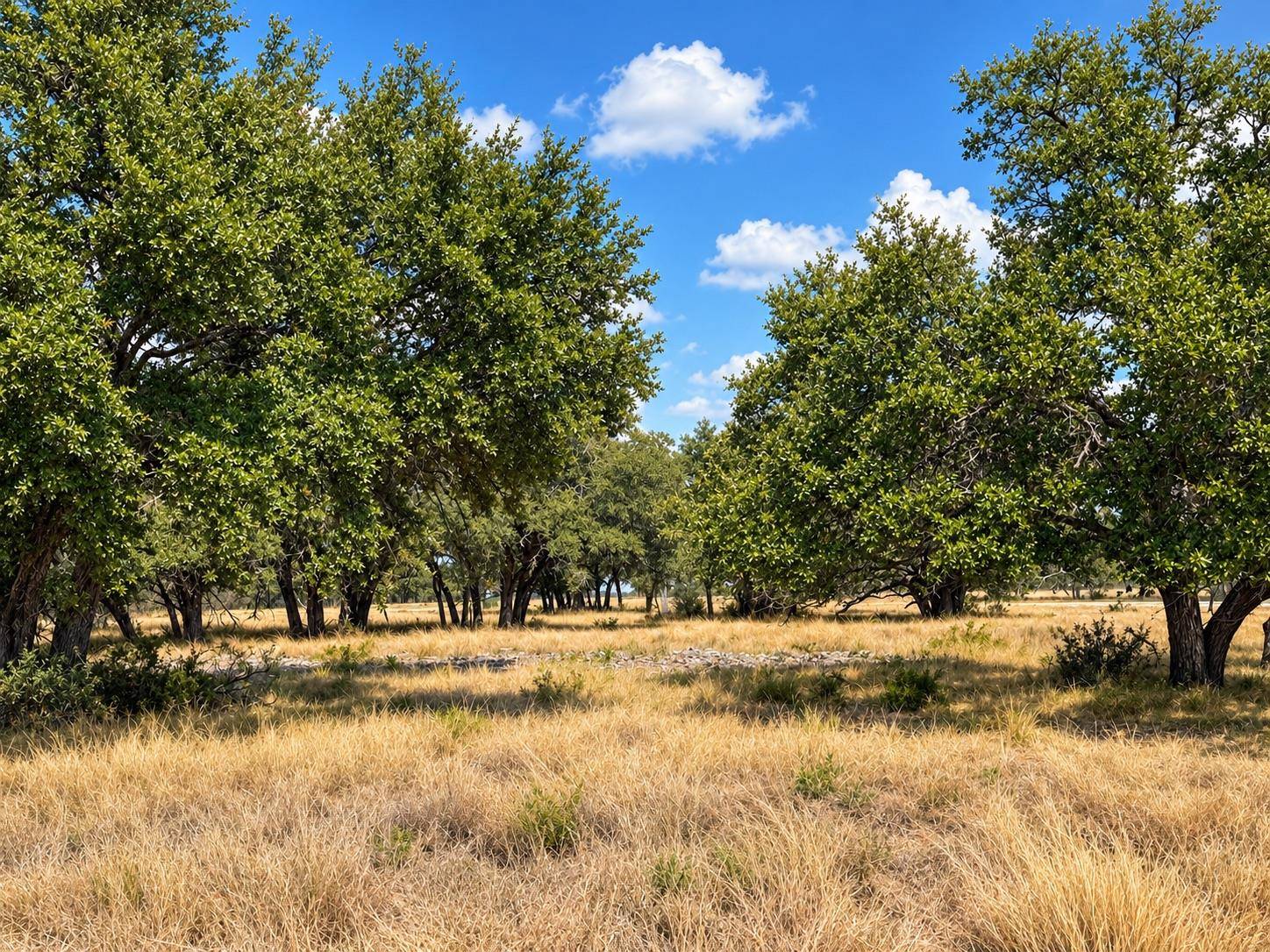 LOT 123 Fallow Drive DR, Harper, TX 78631