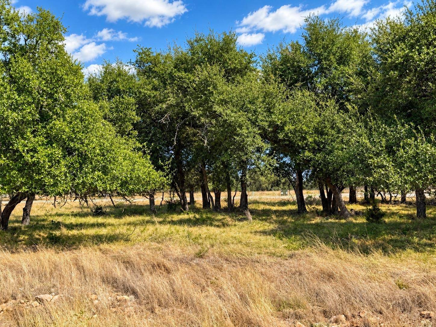 LOT 123 Fallow Drive DR, Harper, TX 78631
