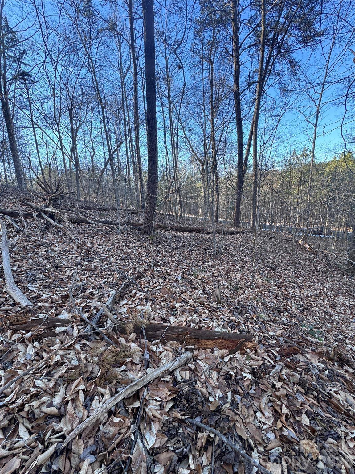 0 Creekside CIR #126, Rutherfordton, NC 28139