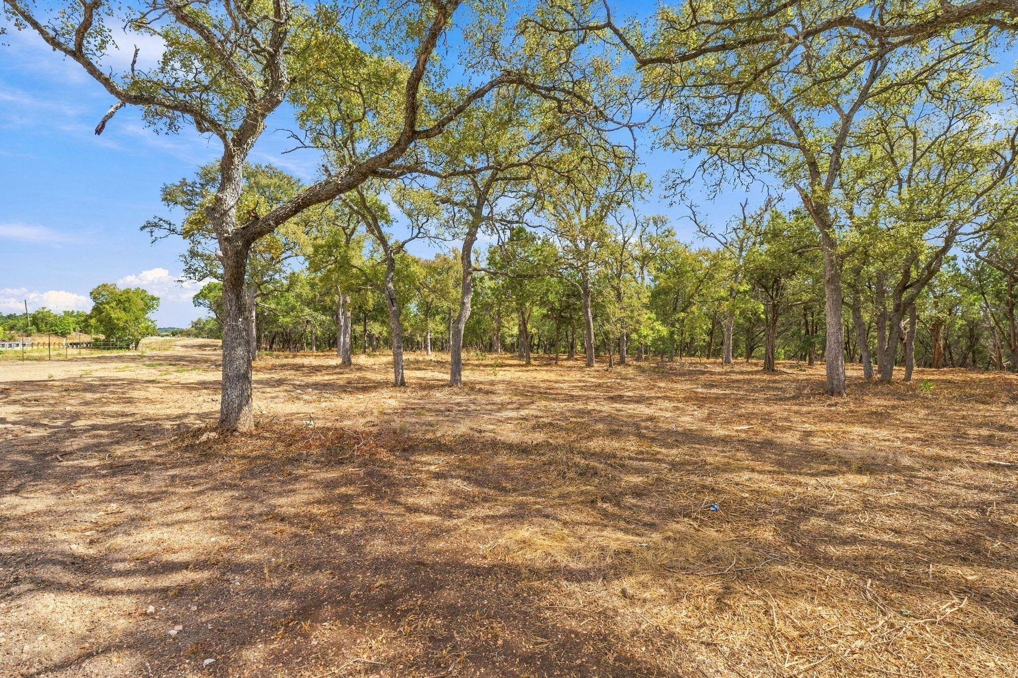TBD FM 150, Driftwood, TX 78619