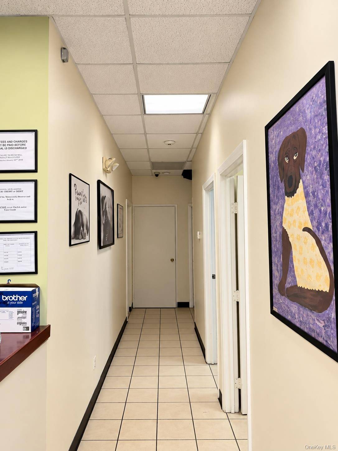 16 Mount Vernon AVE #storefront, Mount Vernon, NY 10550