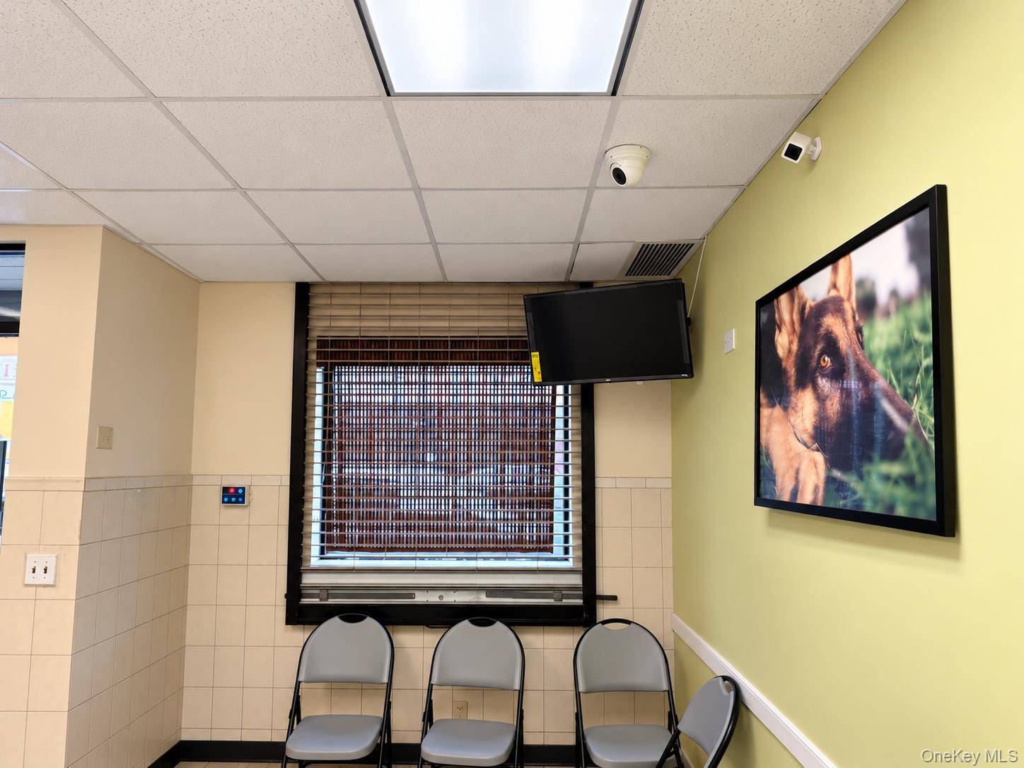 16 Mount Vernon AVE #storefront, Mount Vernon, NY 10550