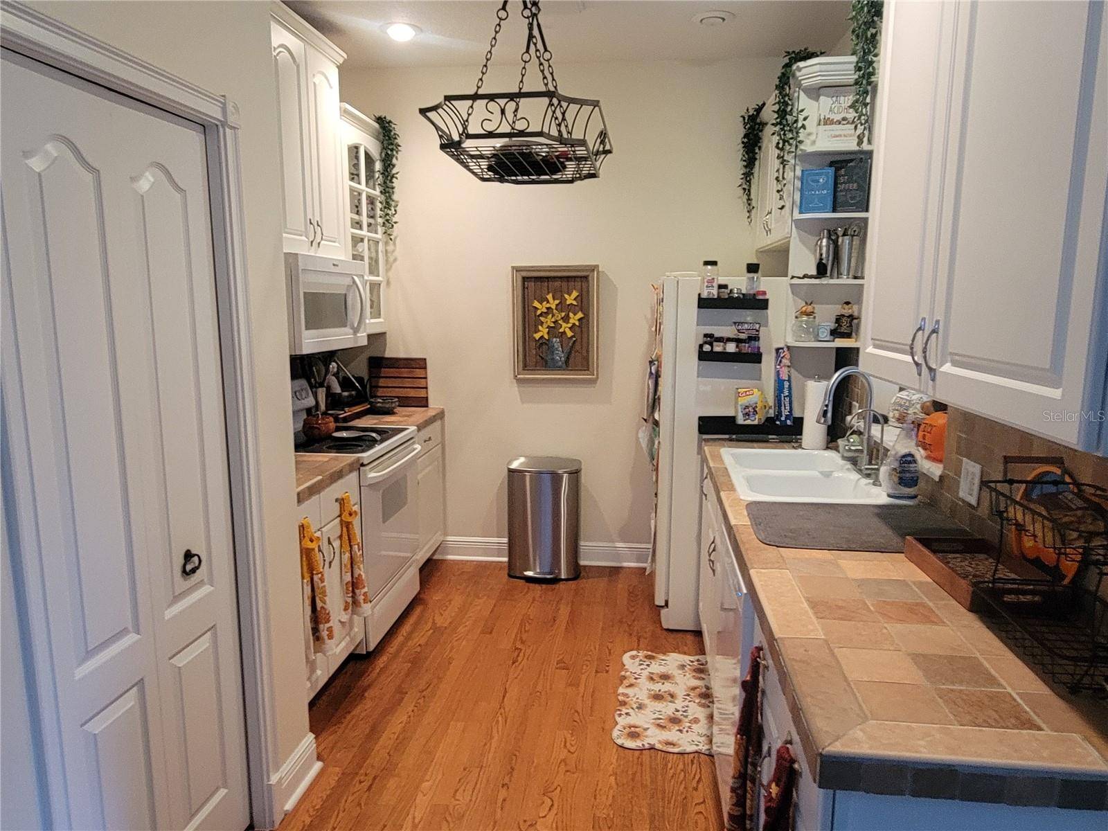 206 FEARON AVE, Mount Dora, FL 32757