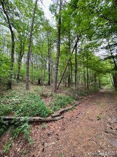 Gardner DR, Port Jervis, NY 12771