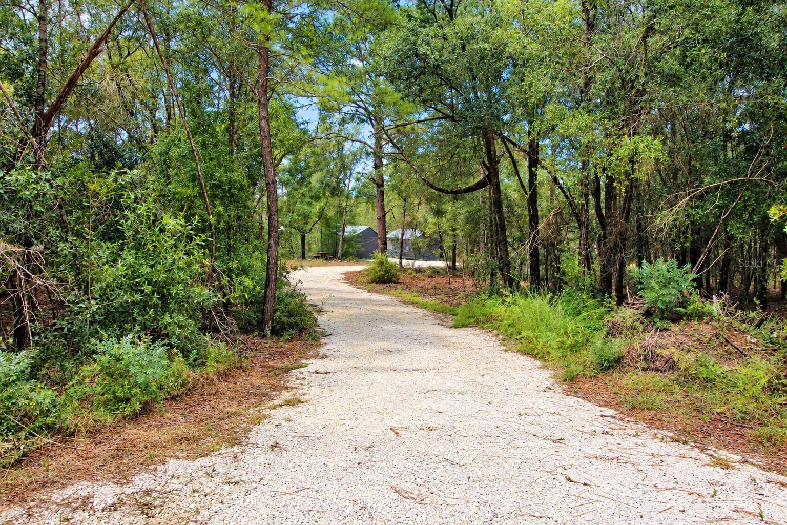 419 LILY TRL, Interlachen, FL 32148