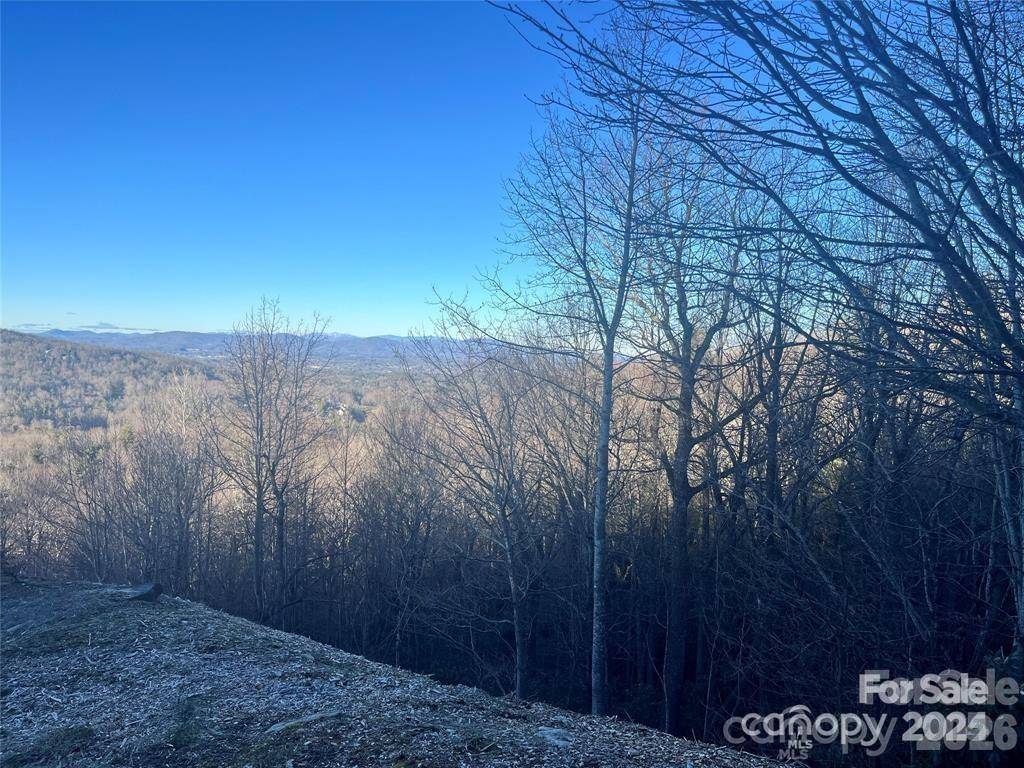 000 Roxworth CT, Flat Rock, NC 28731