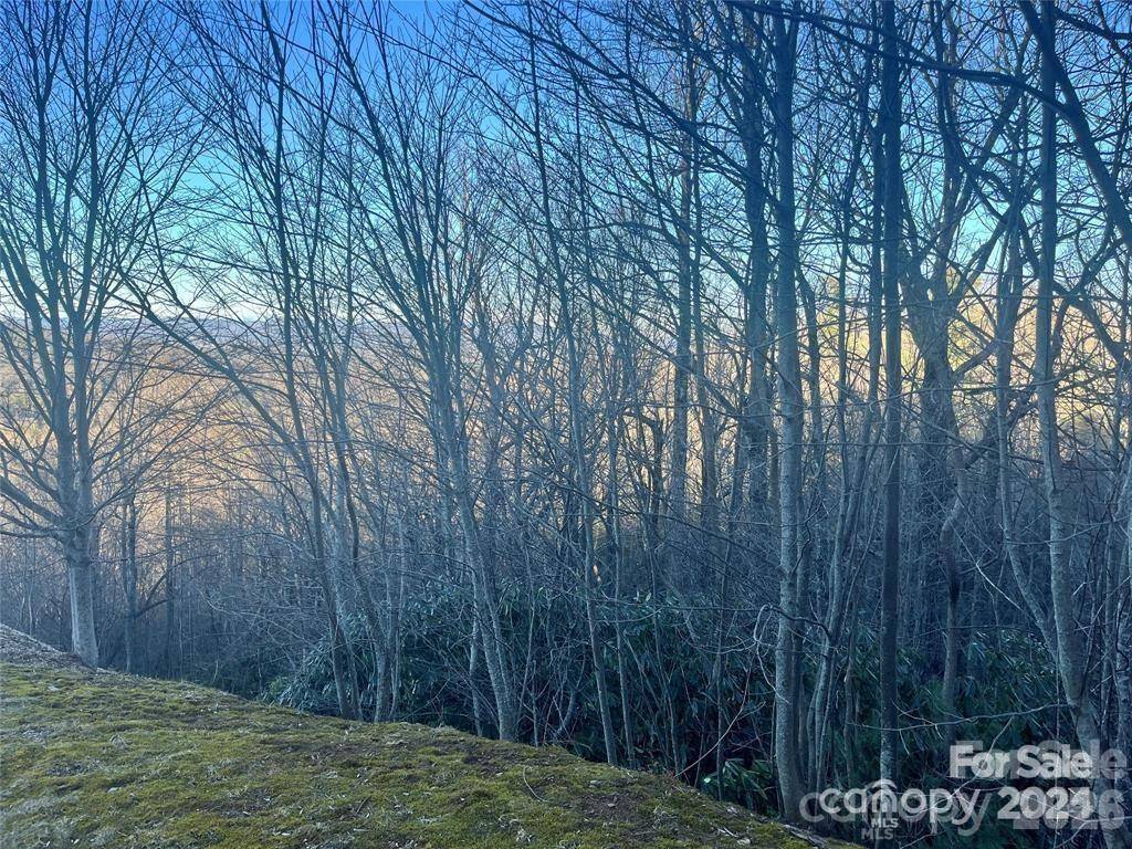 000 Roxworth CT, Flat Rock, NC 28731