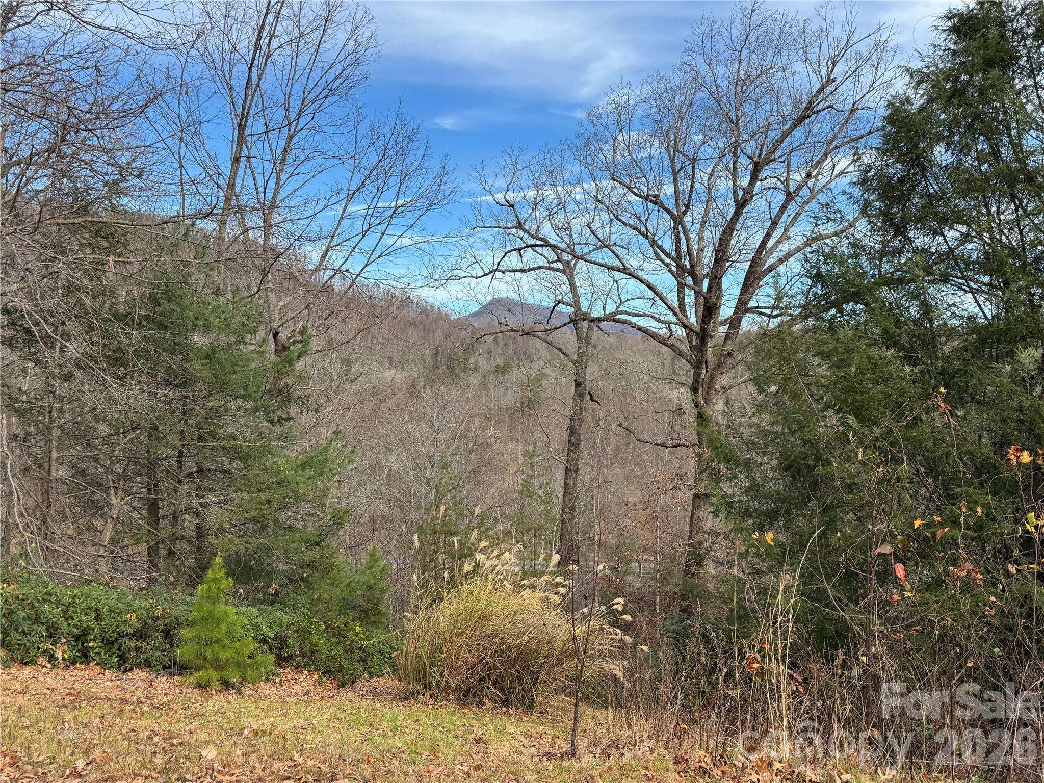 0 Deer TRL #16, Lake Lure, NC 28746