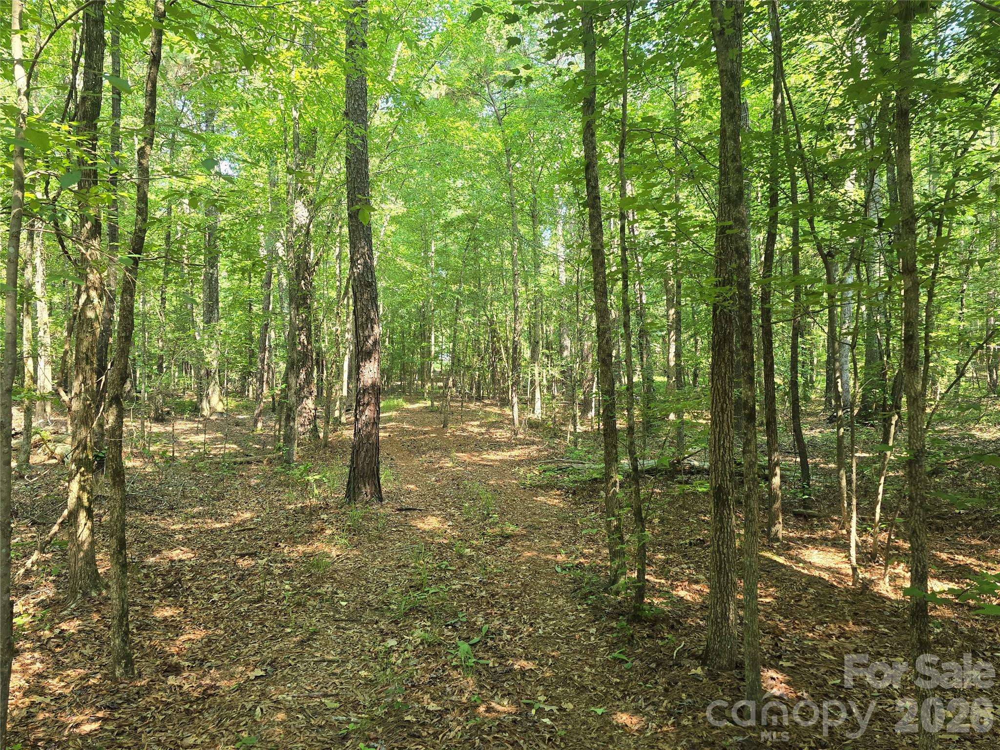 00 Hoke RD, Heath Springs, SC 29058