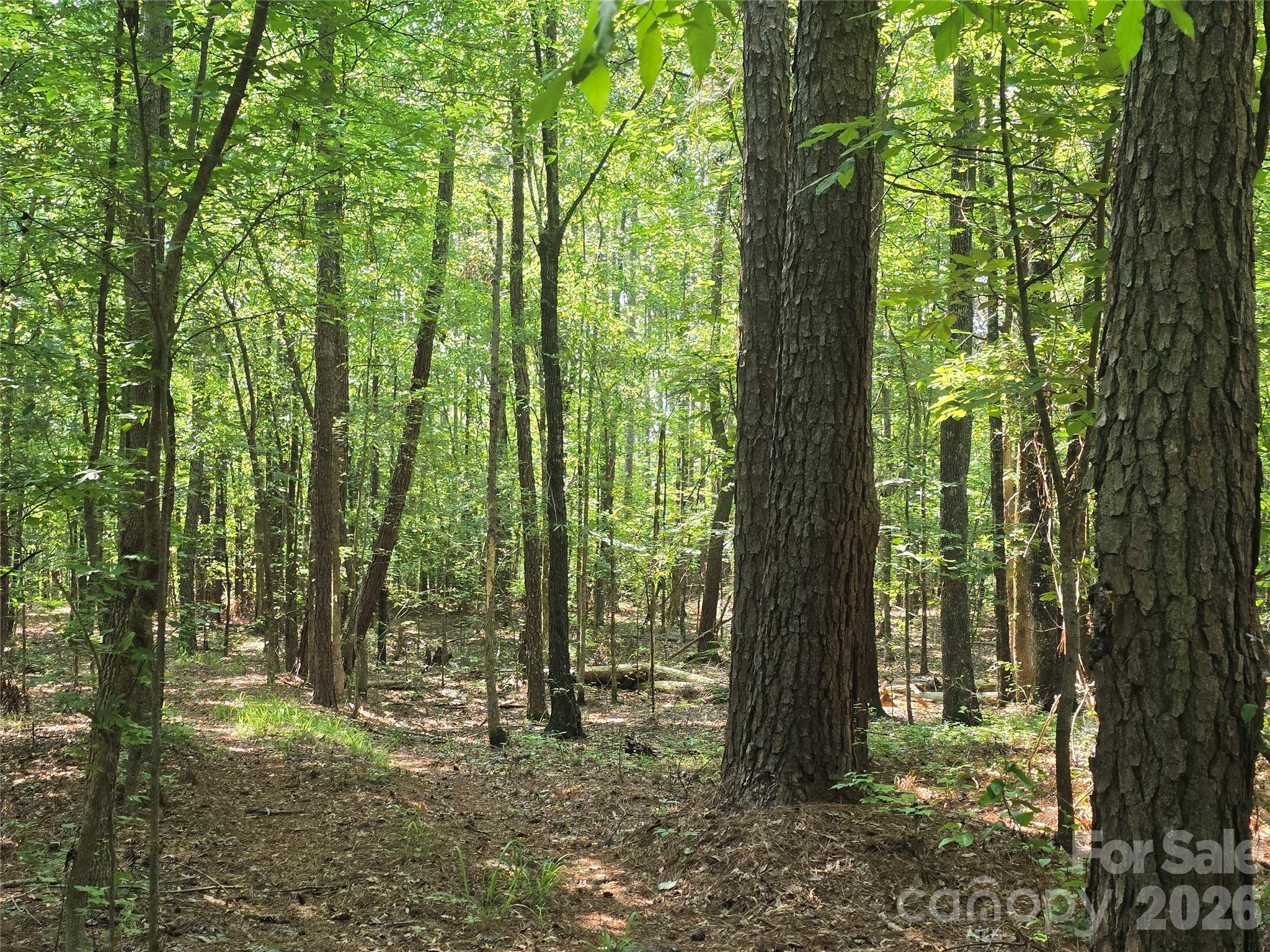 00 Hoke RD, Heath Springs, SC 29058