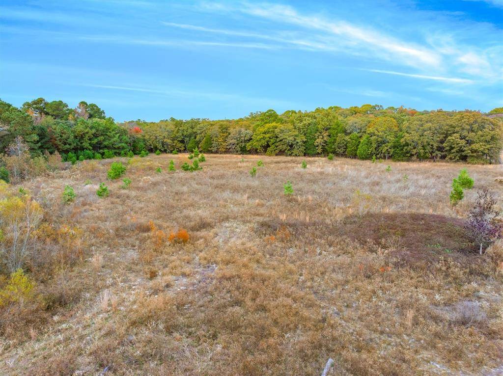 TBD NW Loop 564, Mineola, TX 75773