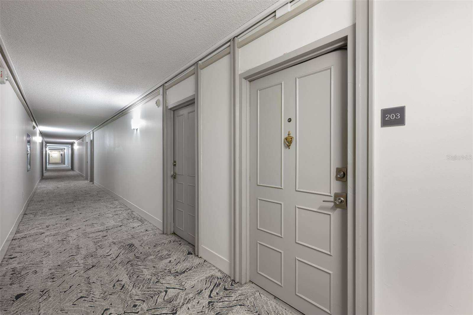 2401 BAYSHORE BLVD #203, Tampa, FL 33629