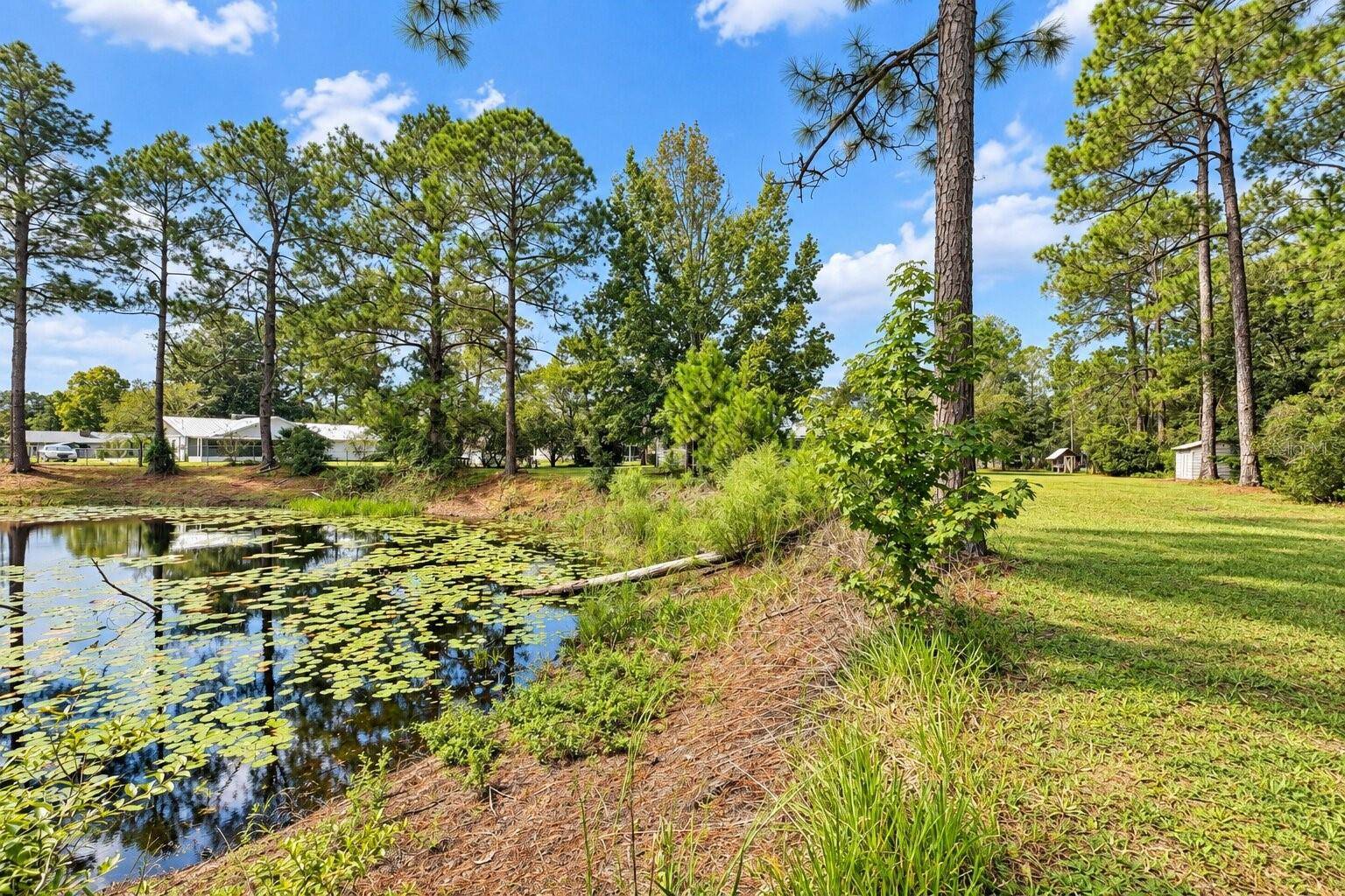 14641 NE 154TH ST, Fort Mc Coy, FL 32134