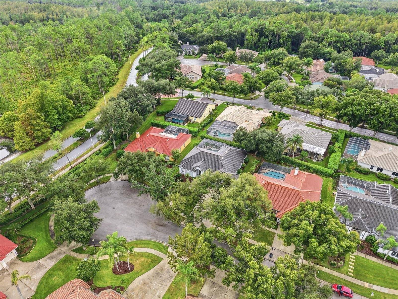 17725 GREY EAGLE RD, Tampa, FL 33647