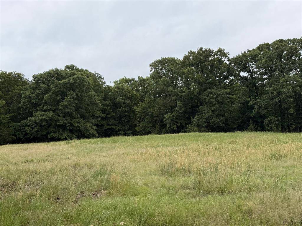 TBD 1& 2 Fm-197, Arthur City, TX 75411