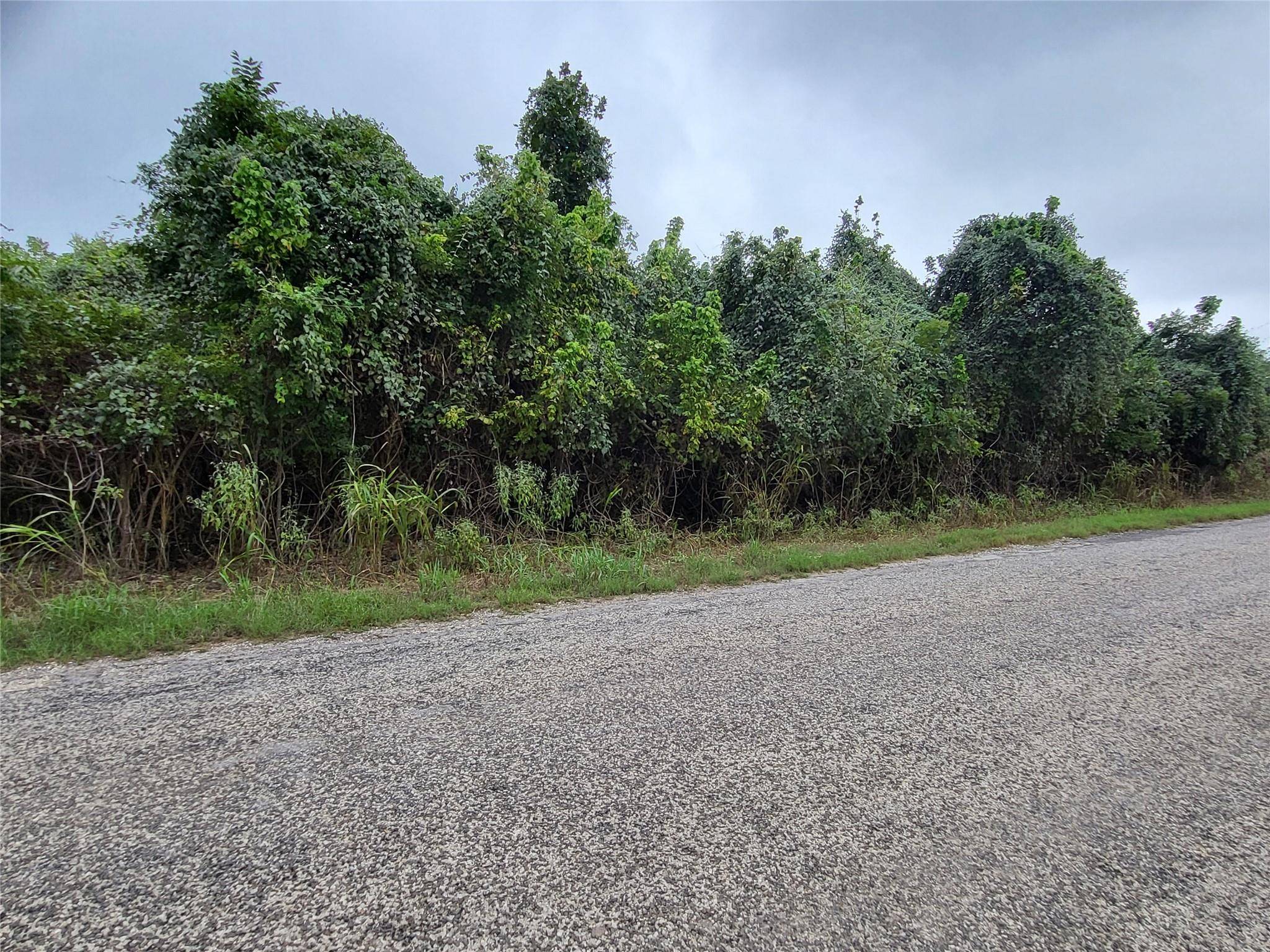 446 Riverside DR, Bastrop, TX 78602