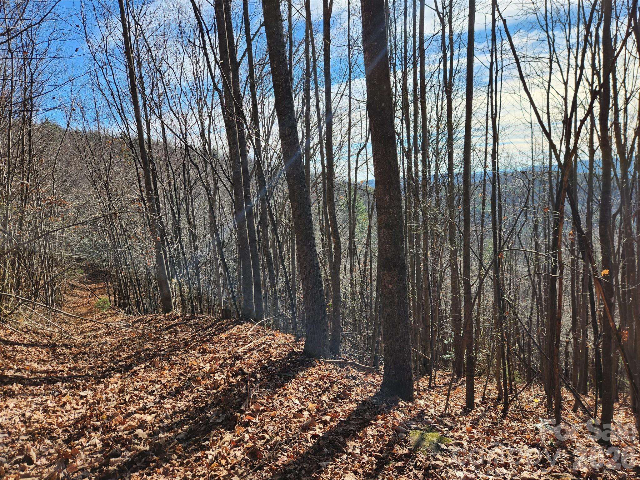 6900 Mertie RD, Millers Creek, NC 28651