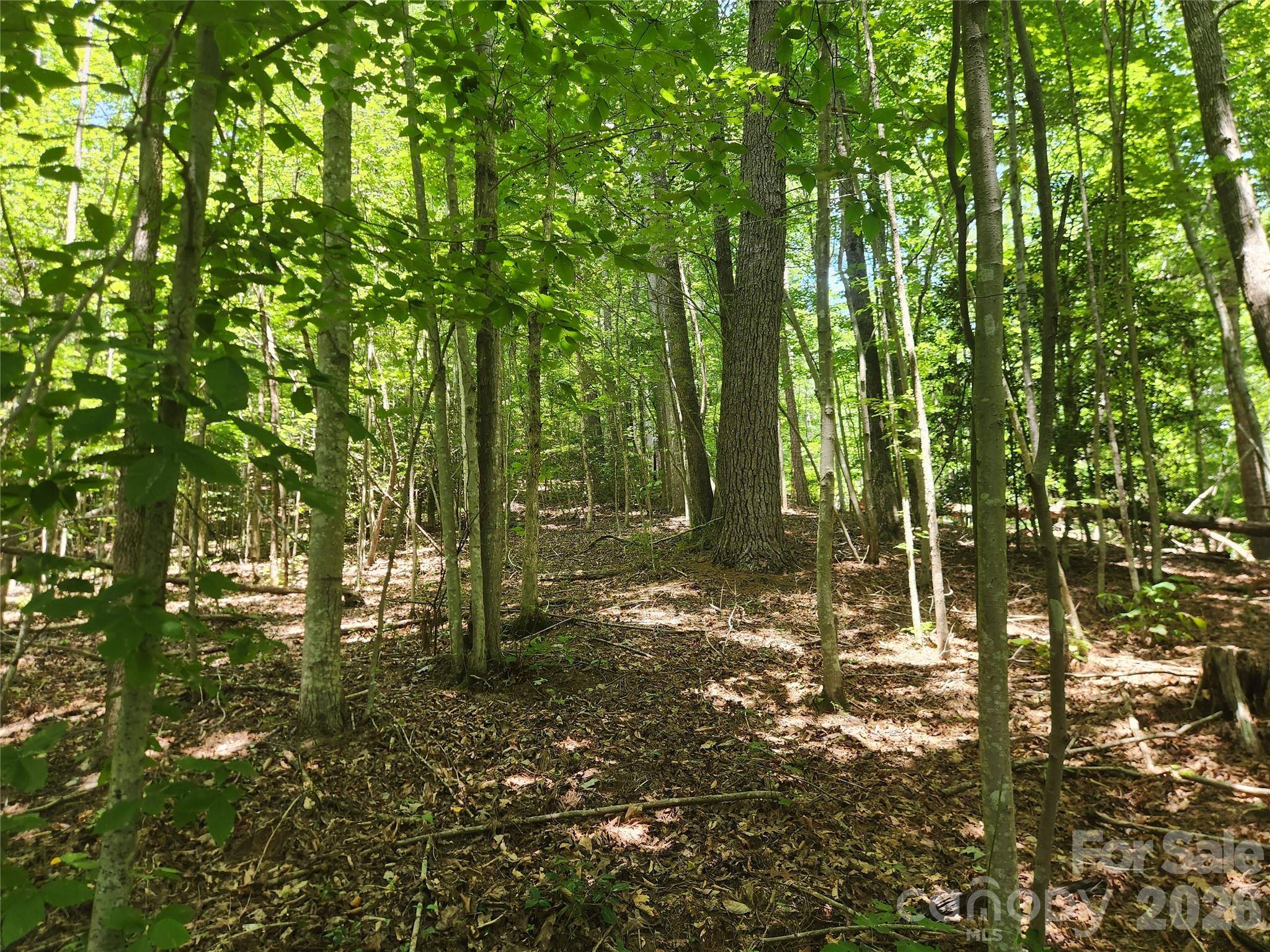 2003 Zacks Fork RD, Lenoir, NC 28645