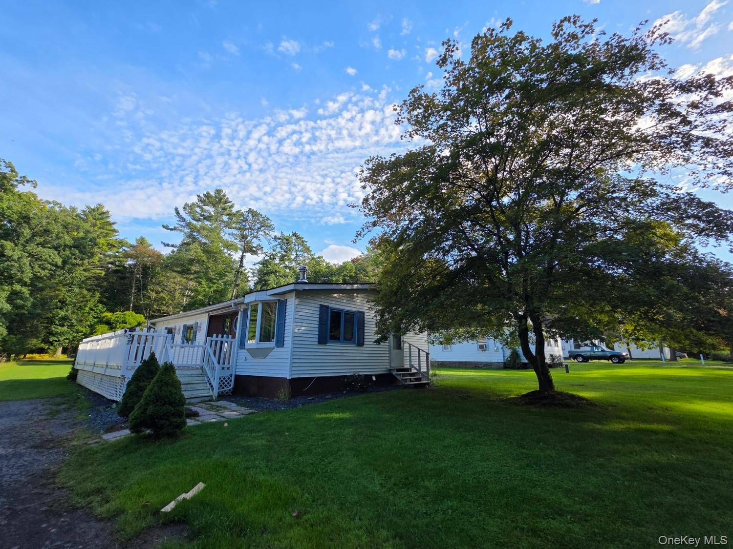 32 Bodine Lake RD, Eldred, NY 12732