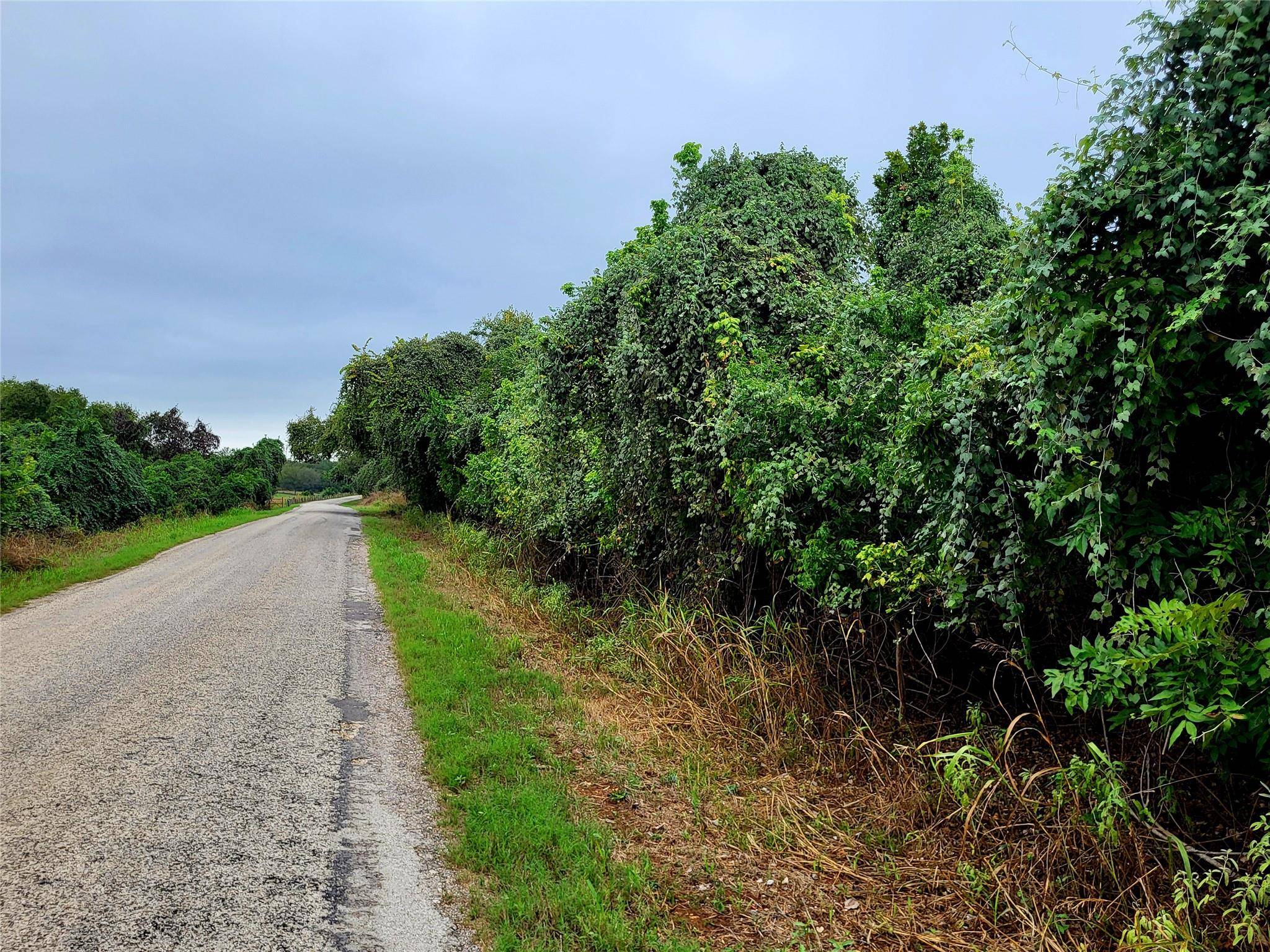 446 Riverside DR, Bastrop, TX 78602