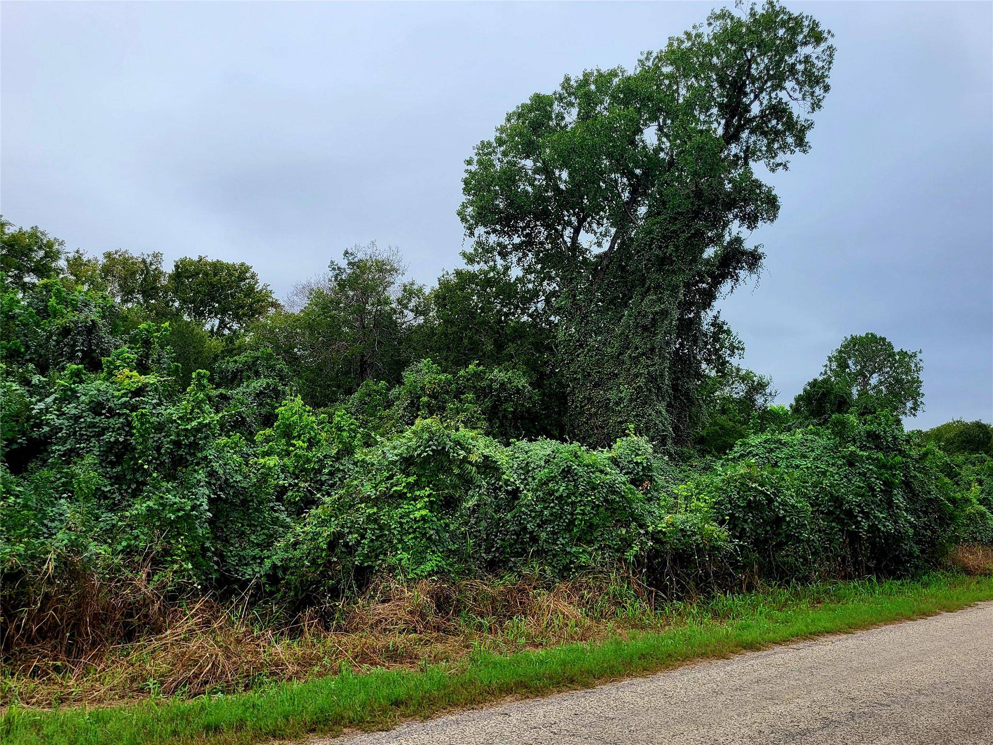 446 Riverside DR, Bastrop, TX 78602