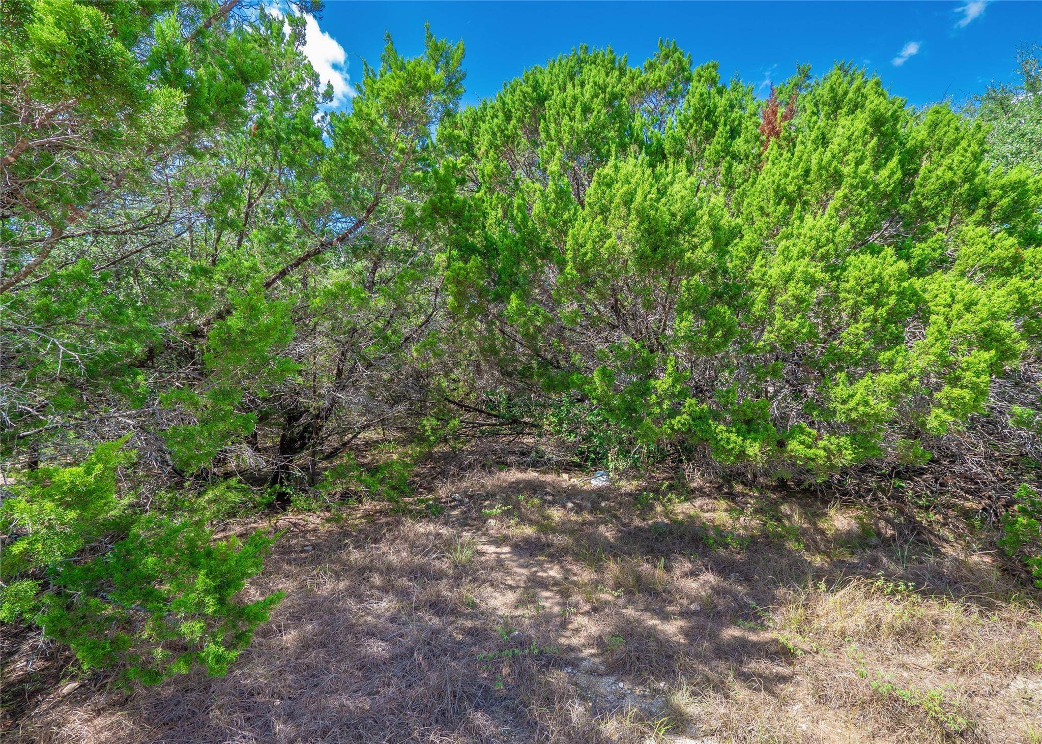 6206 La Mesa ST, Lago Vista, TX 78645