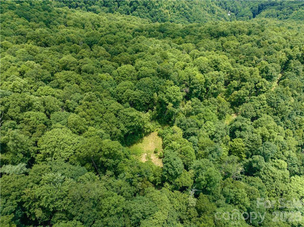 3168 Parris Branch RD #16 D,E,F, Sylva, NC 28779