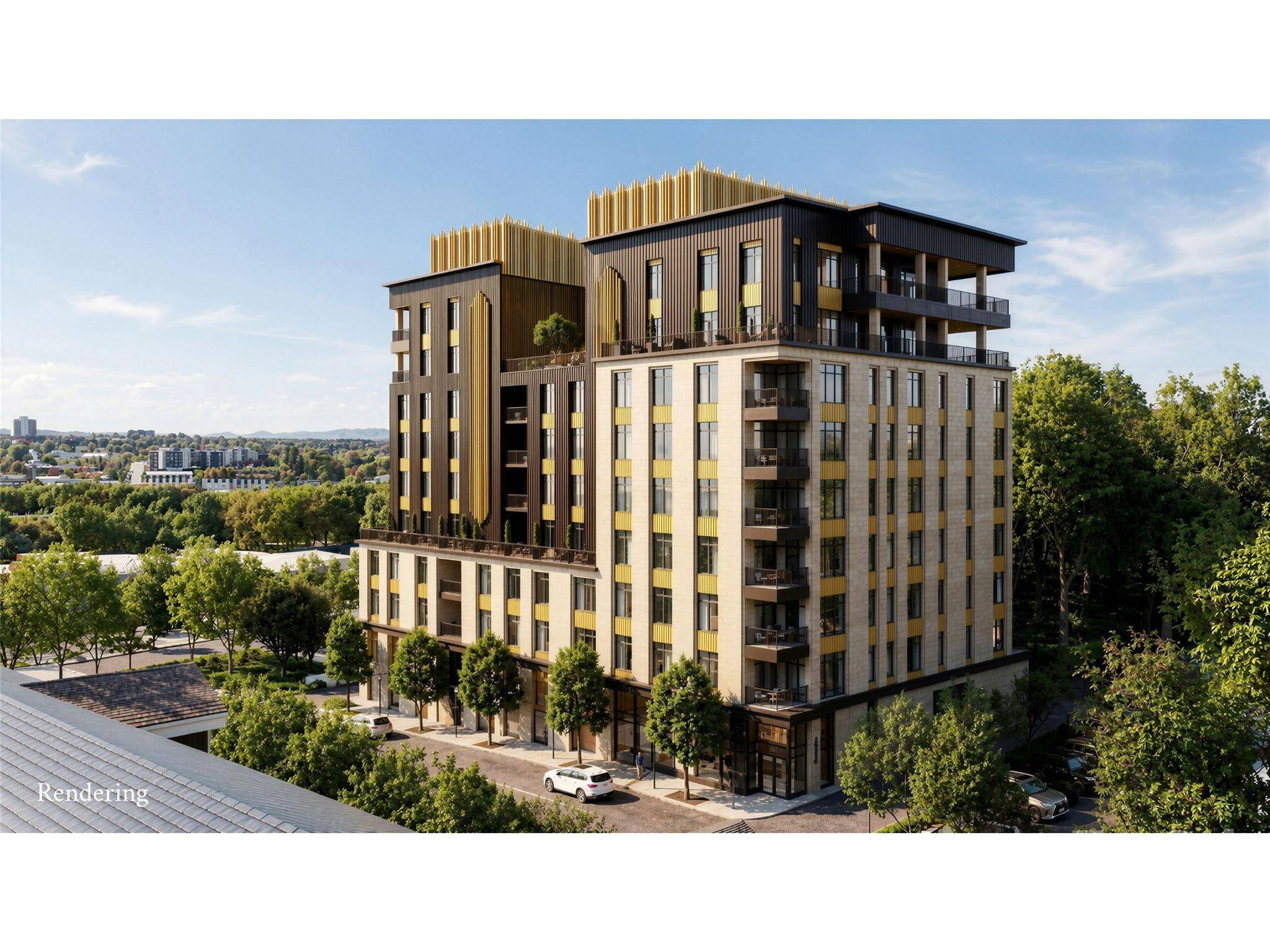 161 Church ST #302, Asheville, NC 28801