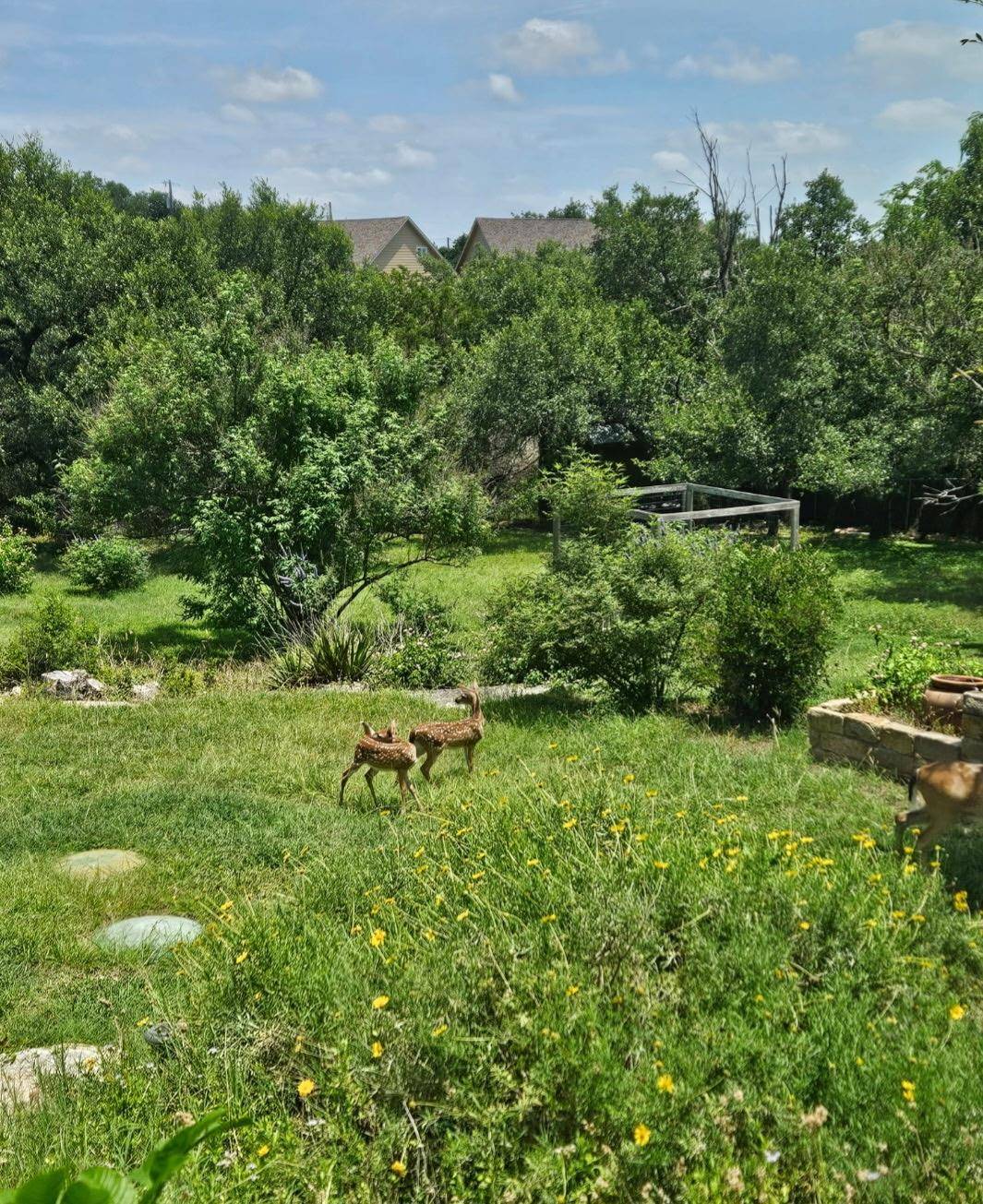 10210 Twin Lake LOOP, Dripping Springs, TX 78620
