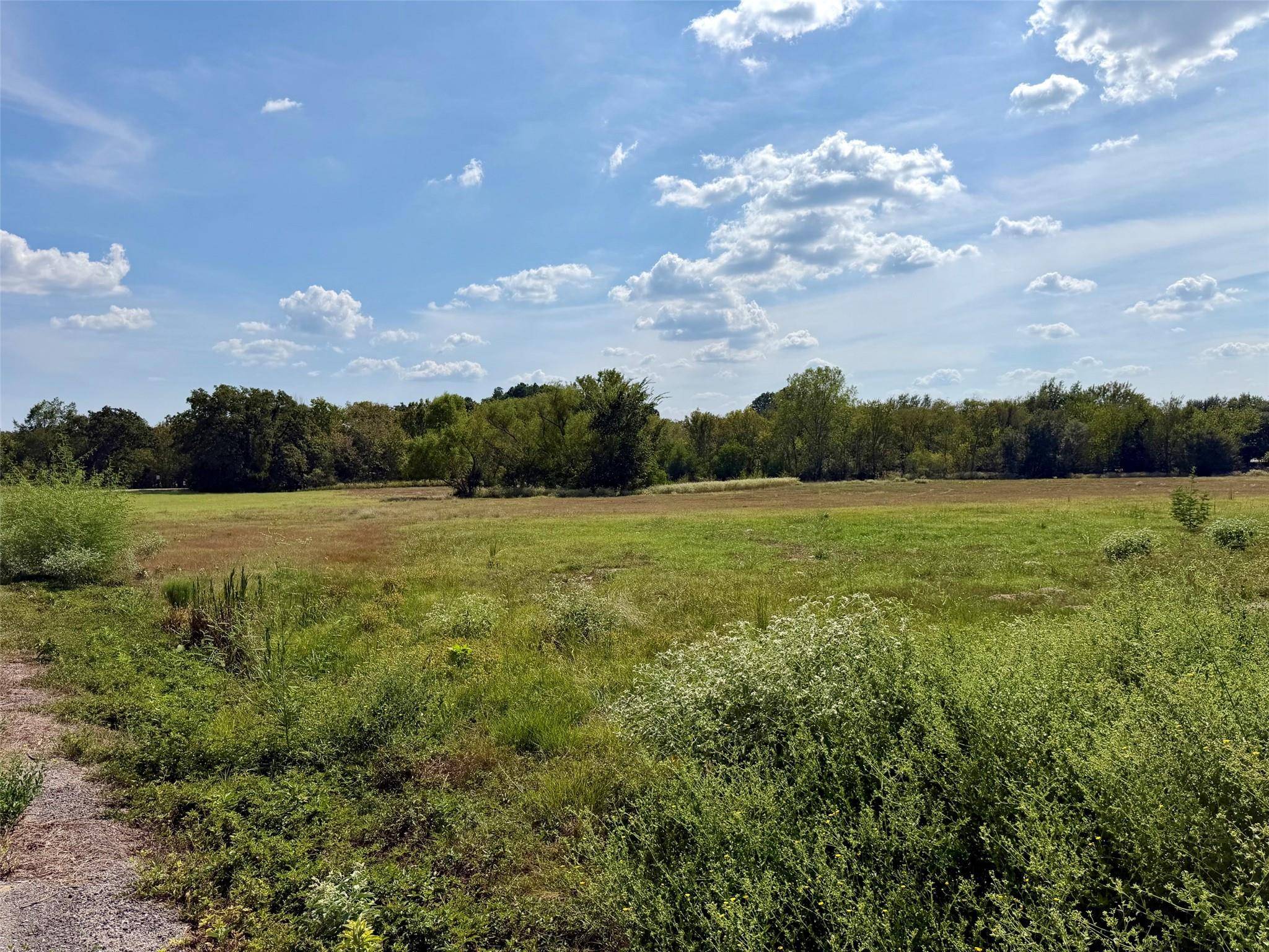 00 Richmond Street, Mcdade, TX 78650