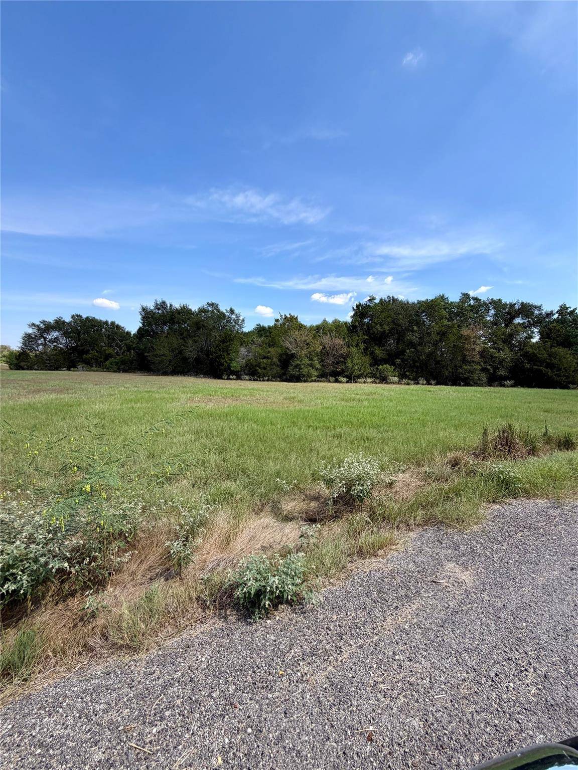 00 Richmond Street, Mcdade, TX 78650