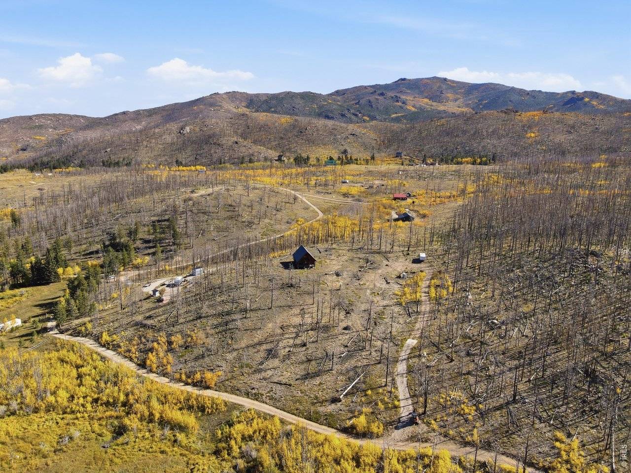 1588 Monument Gulch, Bellvue, CO 80512