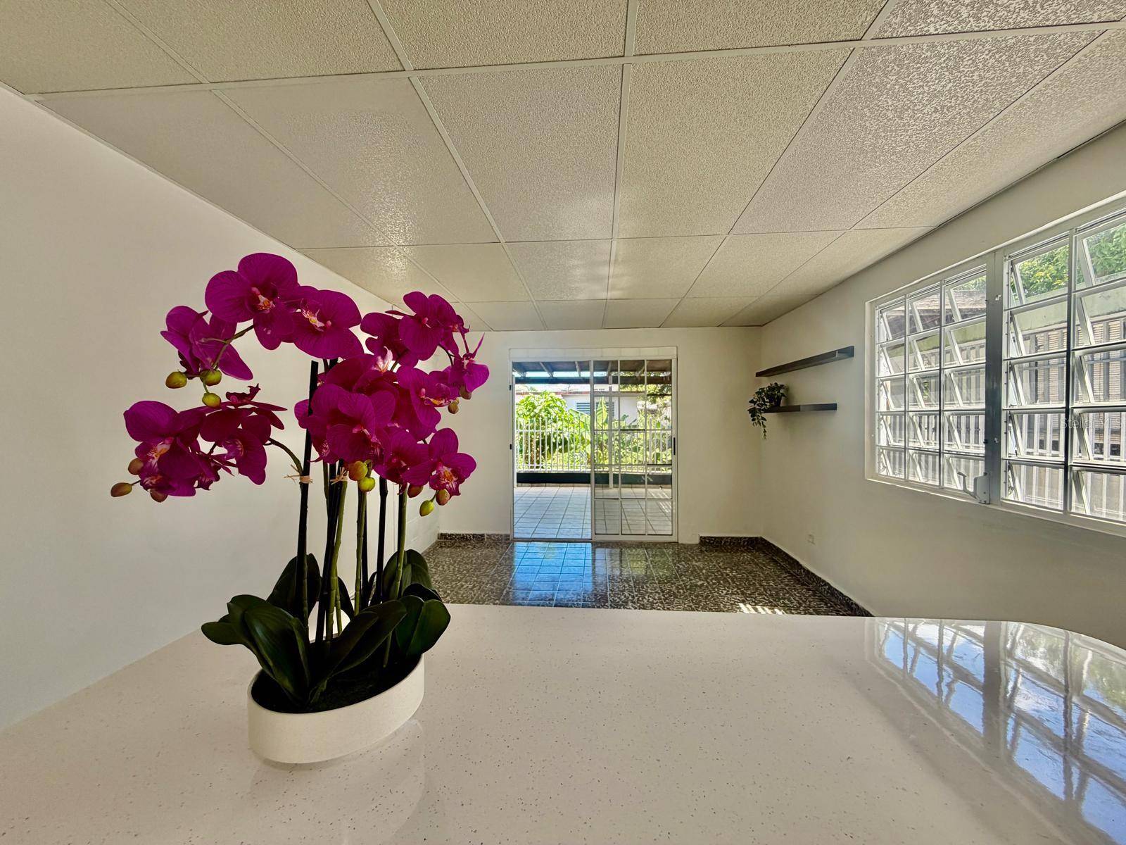 2KR GUAM ST #885B, San Juan, PR 00924