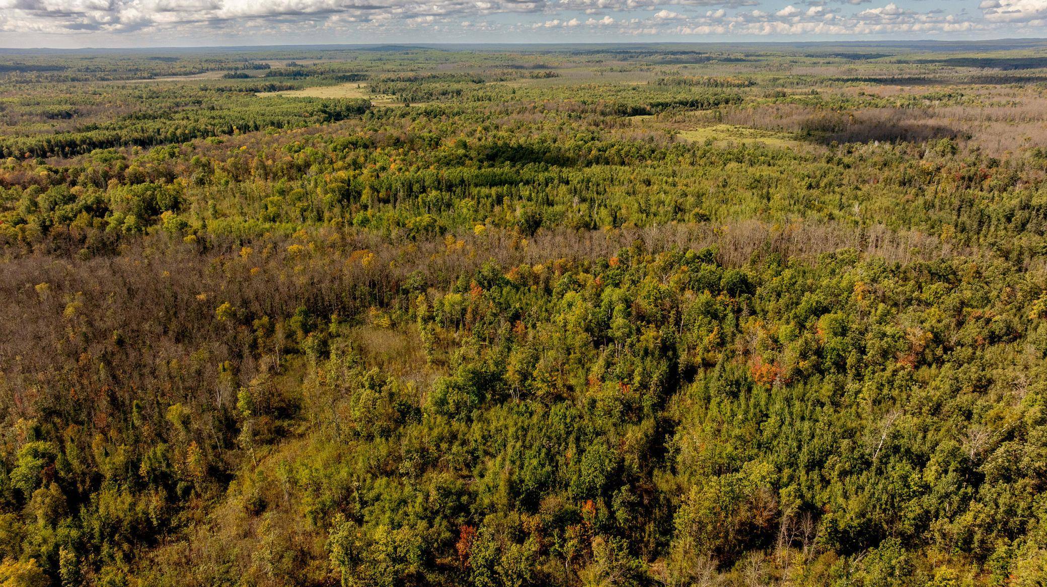 384 Acres TBD Little Pine RD, Emily, MN 56447