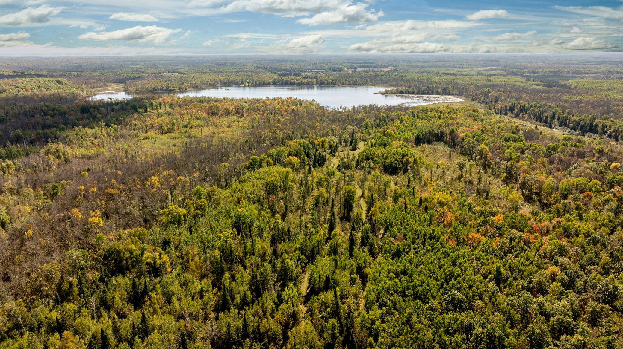 384 Acres TBD Little Pine RD, Emily, MN 56447