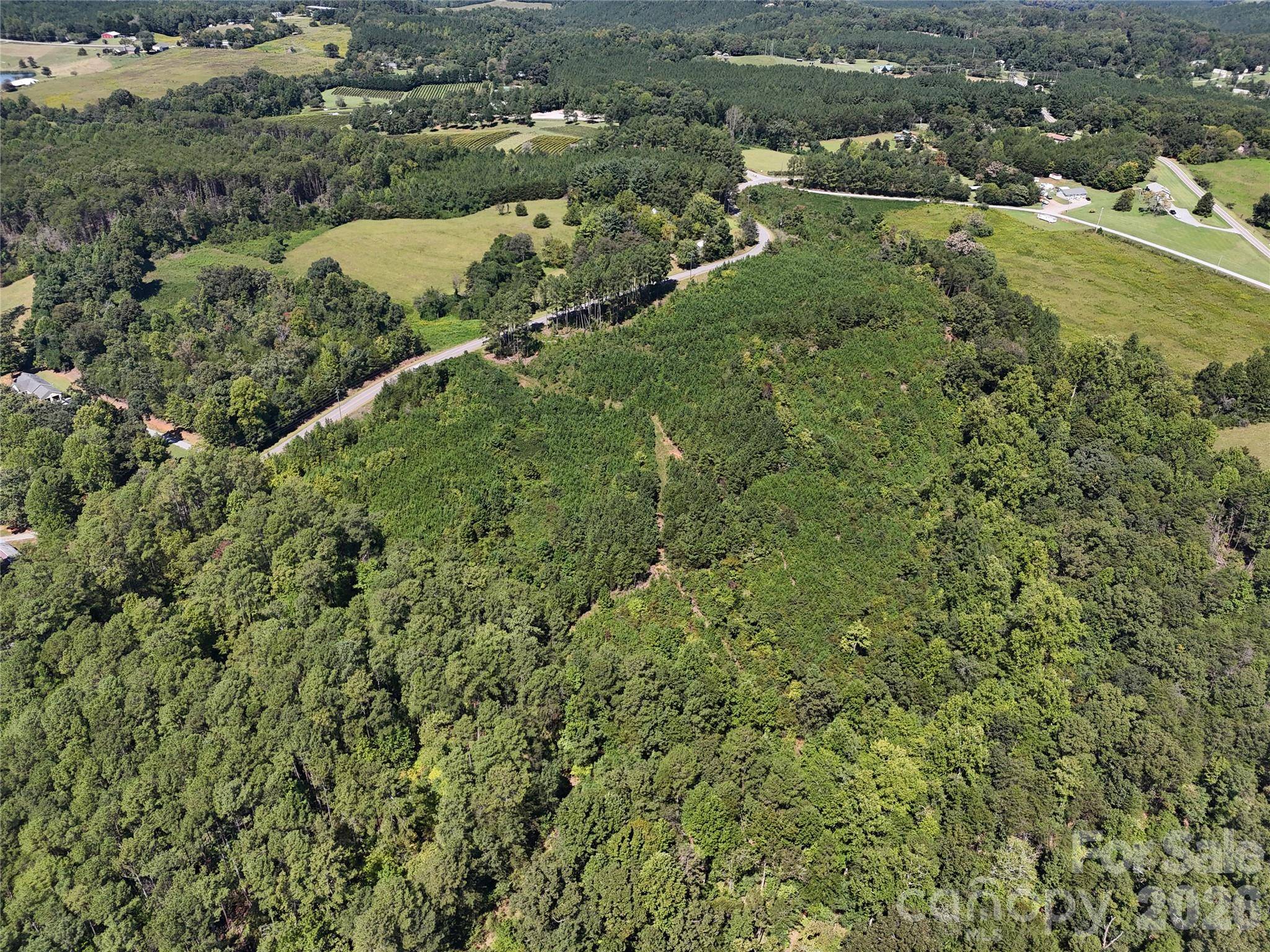 2125 Whiteside RD, Mill Spring, NC 28756