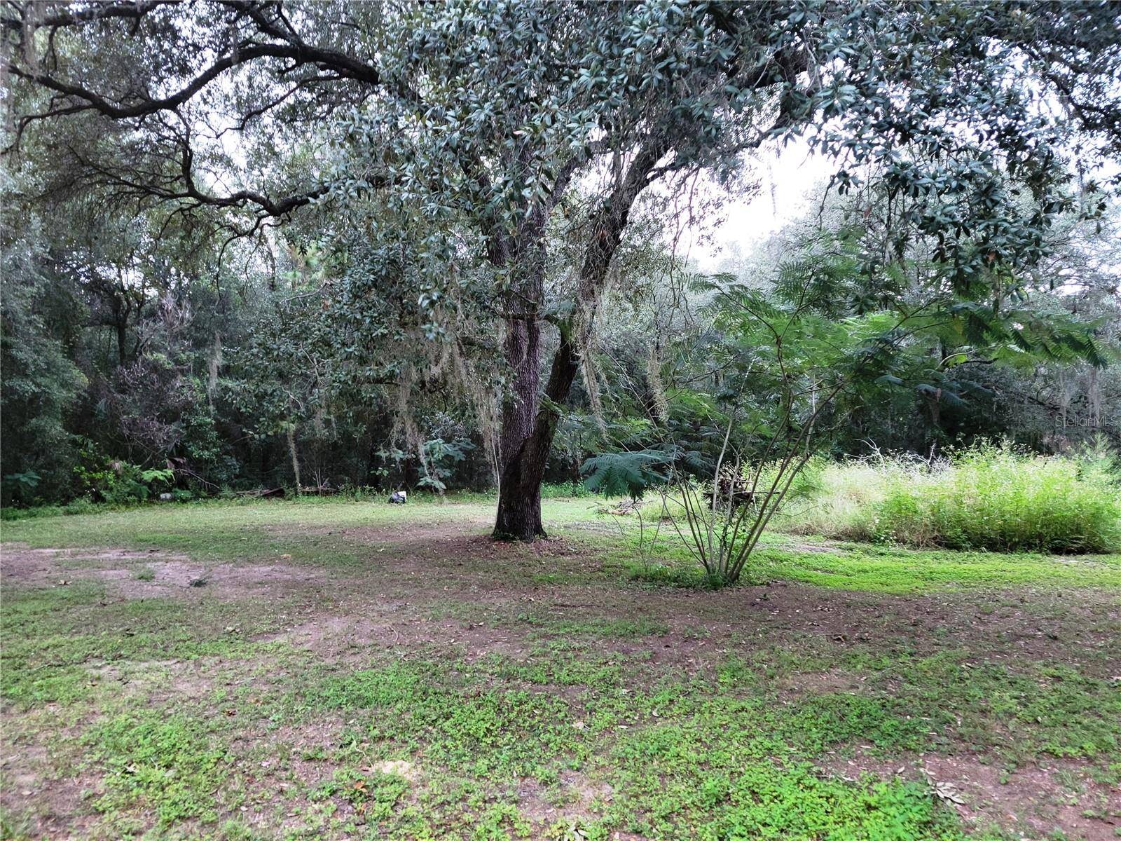 12231 NE 64 PL, Williston, FL 32696