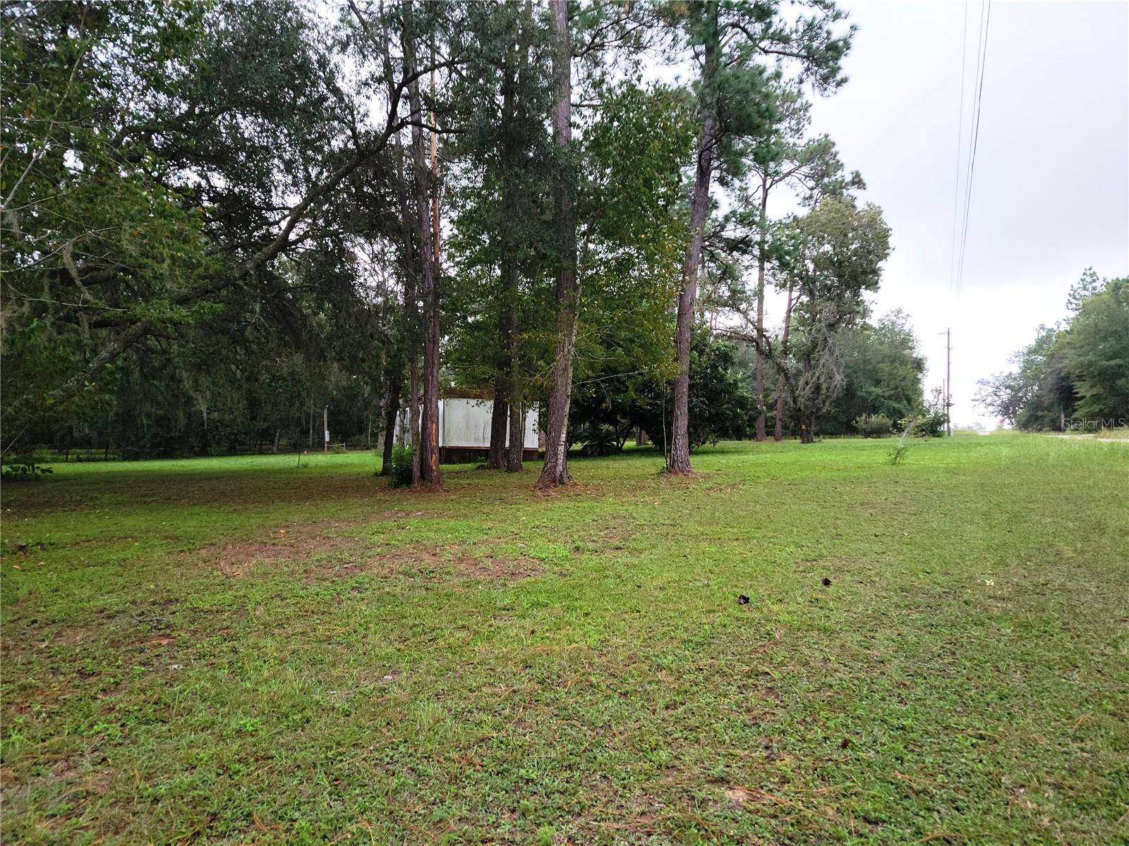12231 NE 64 PL, Williston, FL 32696