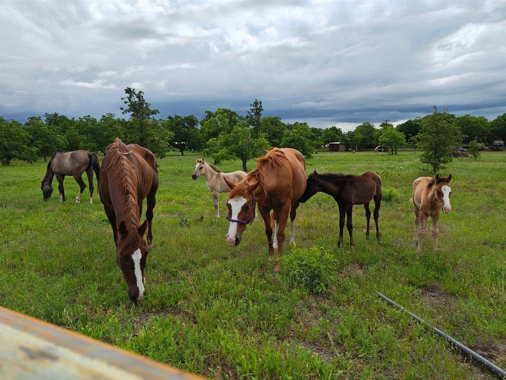 6189 Private Road 2752, Clyde, TX 79510