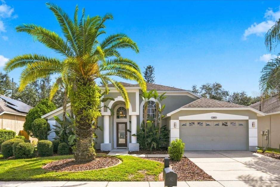 18009 PALM BREEZE DR, Tampa, FL 33647