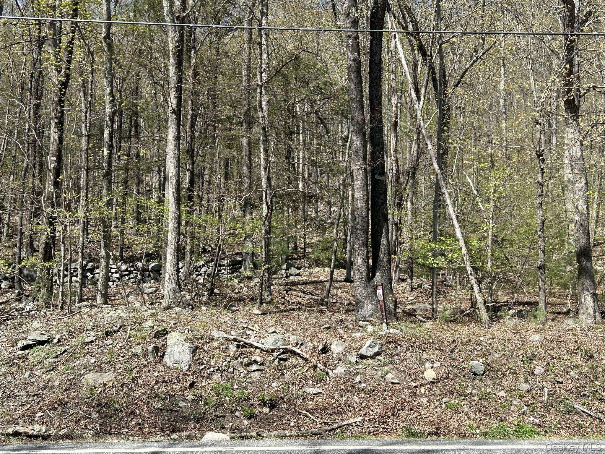 14 Hawk Mountain DR, Sparrowbush, NY 12780