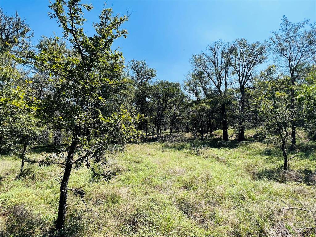 20 IH, Santo, TX 76472