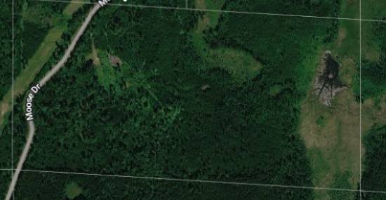 XXXX Moose DR, Laporte, MN 56461