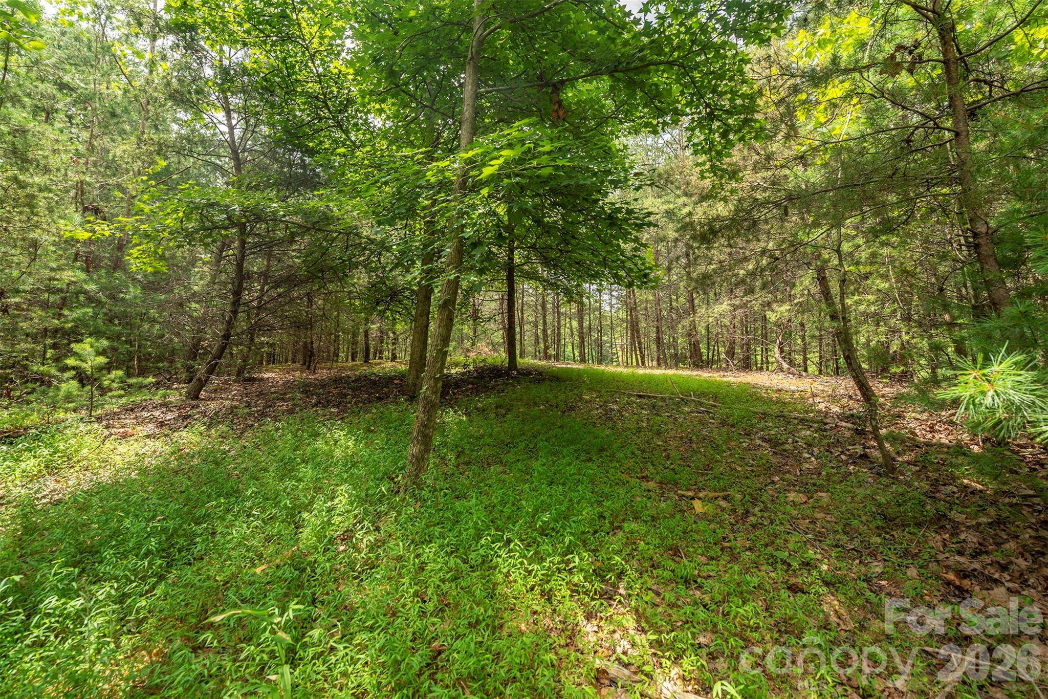 LOT 46 Black Forest DR, Marion, NC 28752