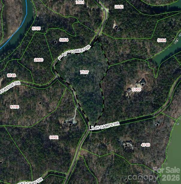 LOT 46 Black Forest DR, Marion, NC 28752