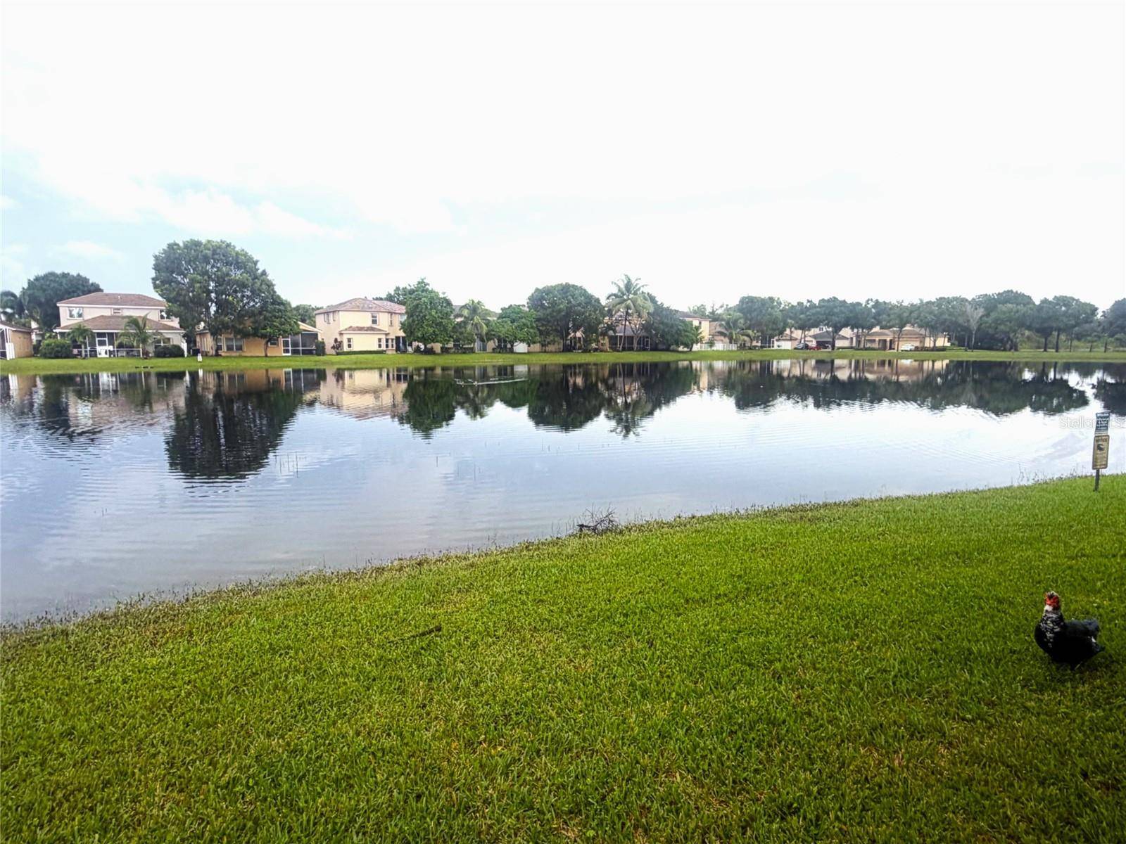 10355 LITTLE MUSTANG WAY, Lake Worth, FL 33449