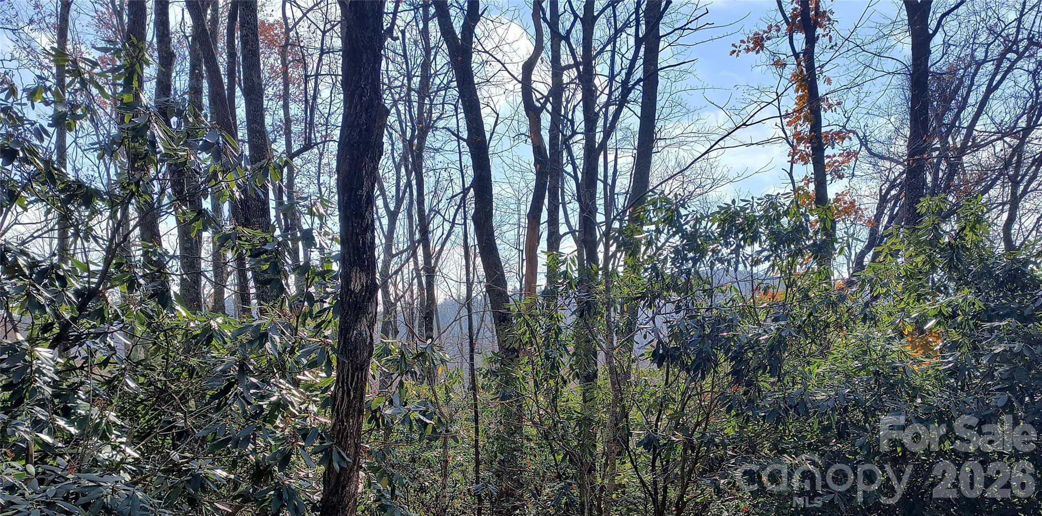 Lot 322 Sunny DR, Newland, NC 28657
