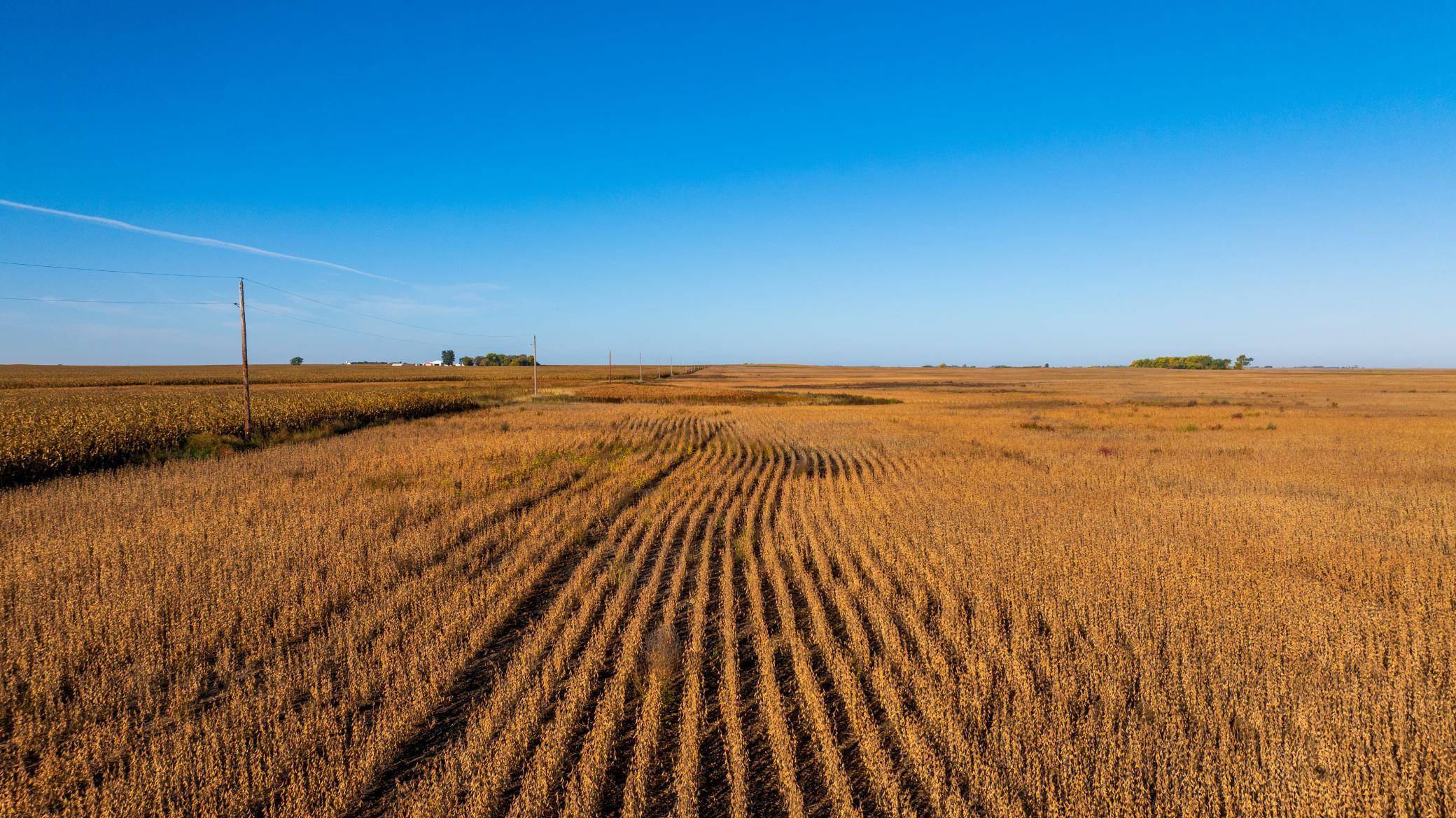 TBD 46 St SE Lot 2, Alice, ND 58031