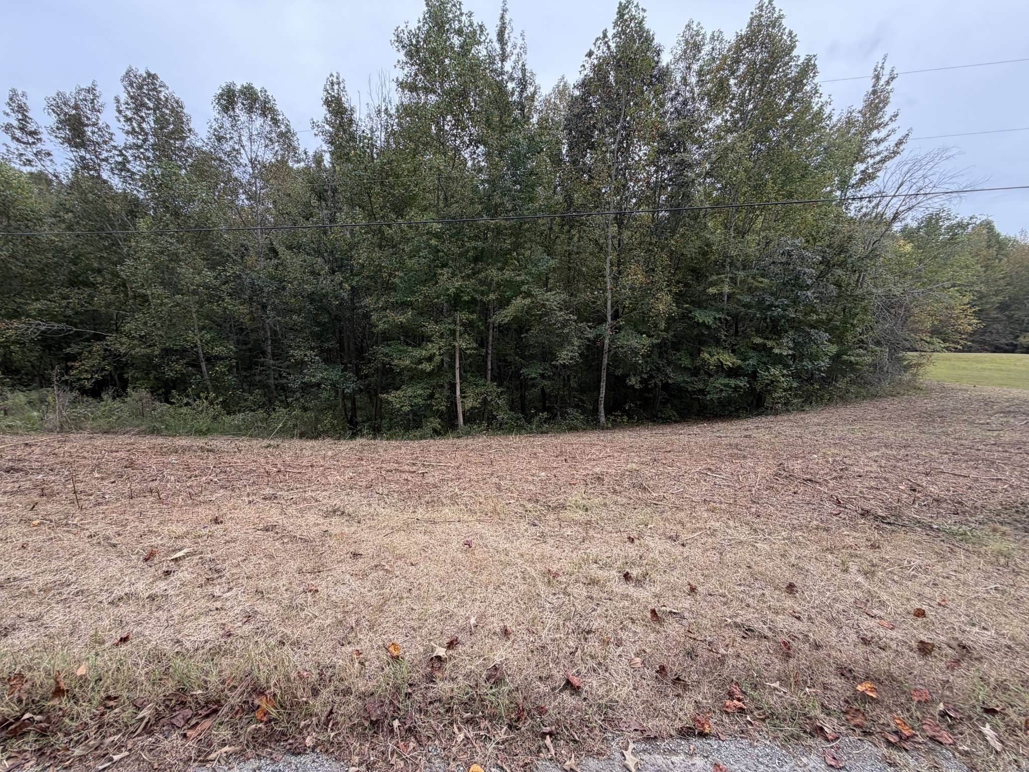 0 Summer Breeze Dr, Smithville, TN 37166