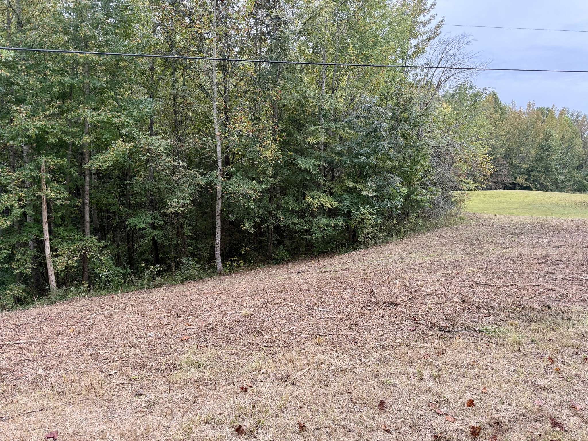 0 Summer Breeze Dr, Smithville, TN 37166